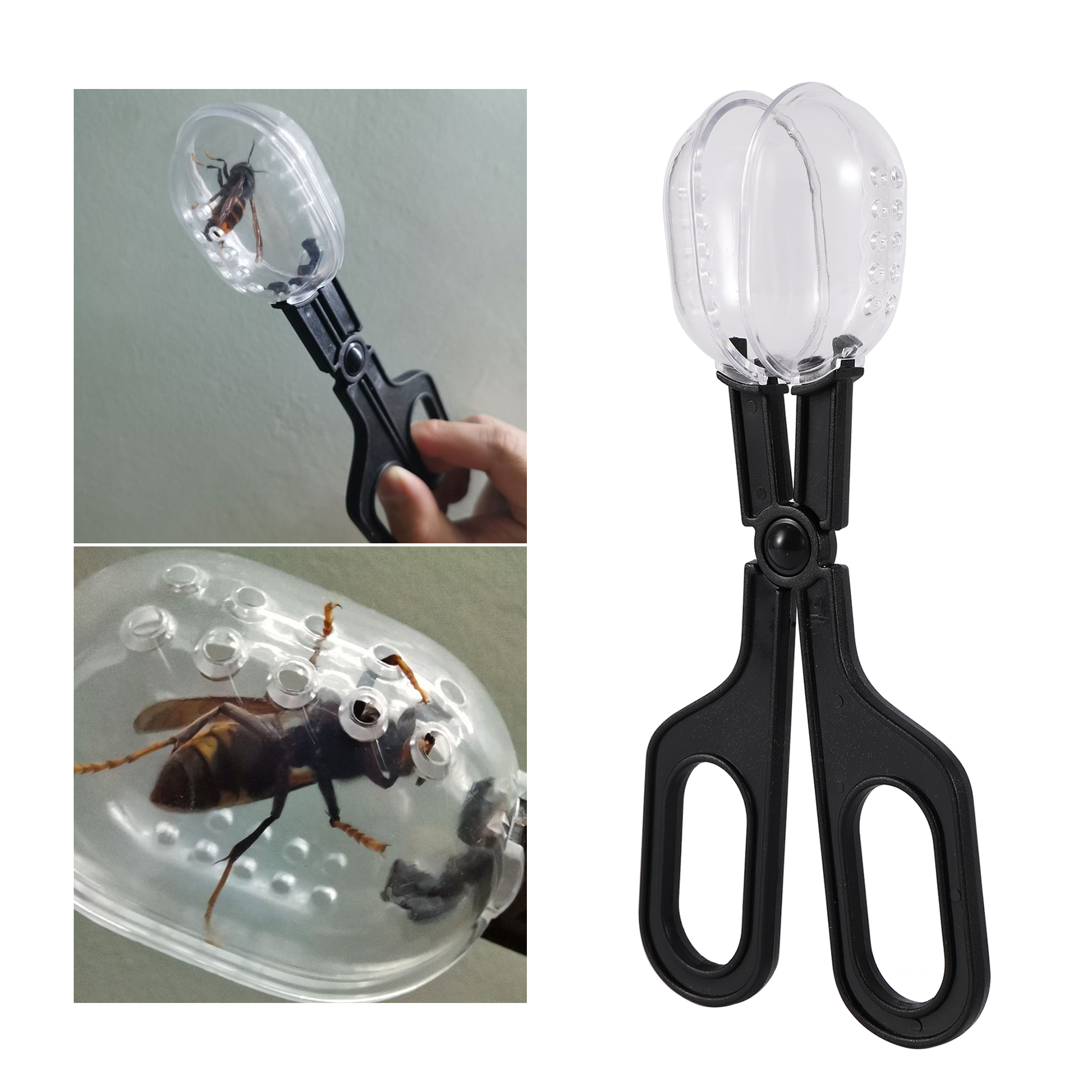 Bee Catching Clip Bee Queen Tr - Home Security Fence บทวิจารณ์และราคา