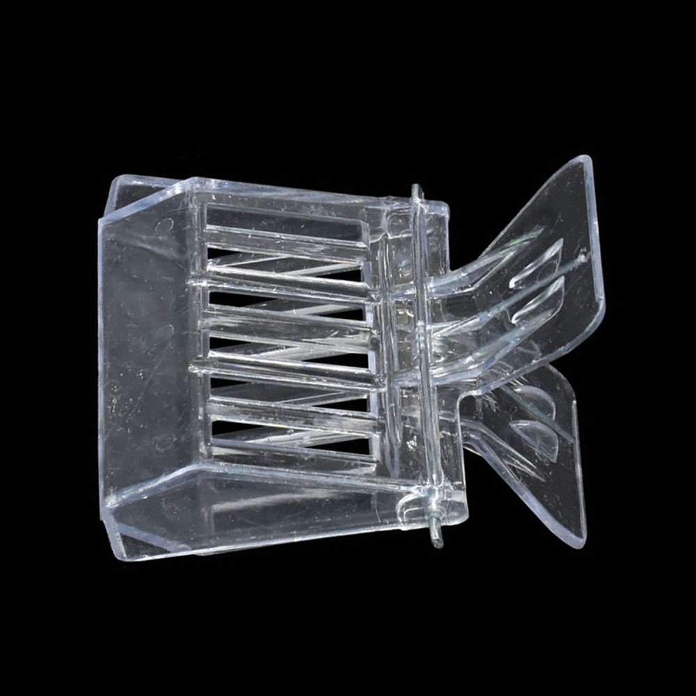 50 Pcs Bee Queen Catcher Color - Home Security Fence บทวิจารณ์และราคา