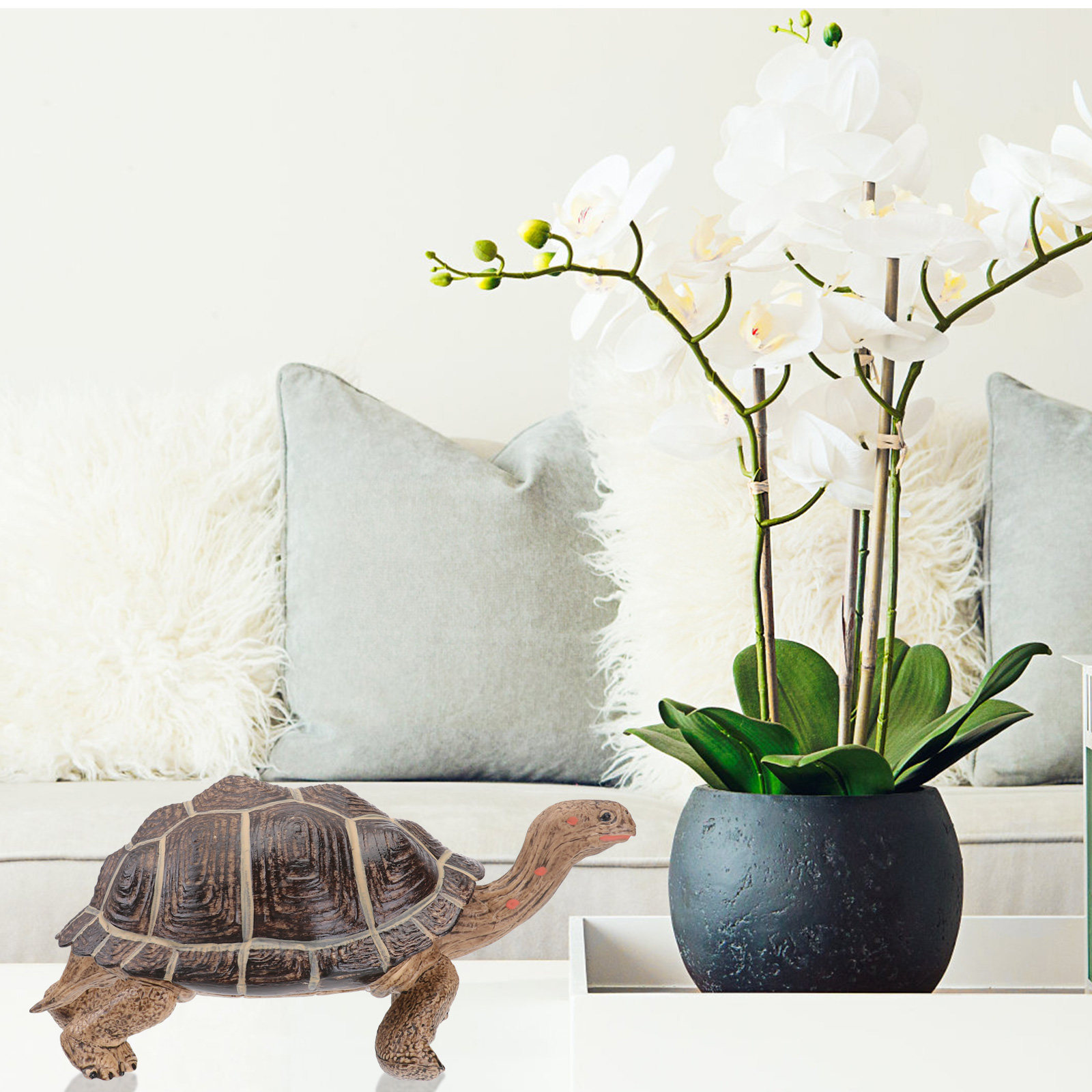 Creative Tortoise Ornament Exq - Home Security Officer บทวิจารณ์และราคา